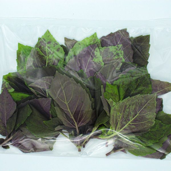 Organic purple basil