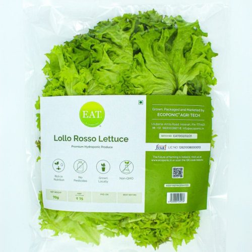 organic lollo rosso lettuce