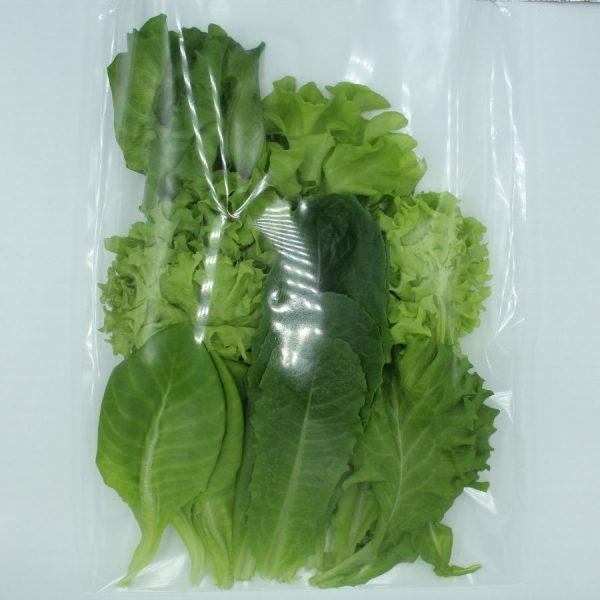 fresh organic lettuce salad mix
