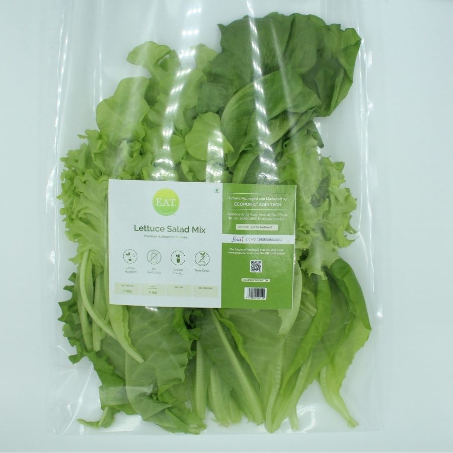 fresh organic lettuce salad mix