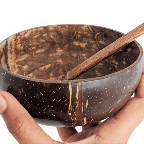 coconut shell bowl with spoon