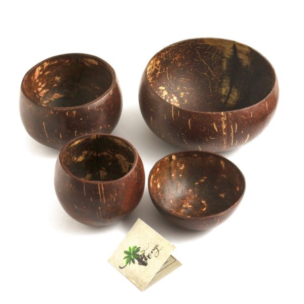 coconut shell bowl combo set