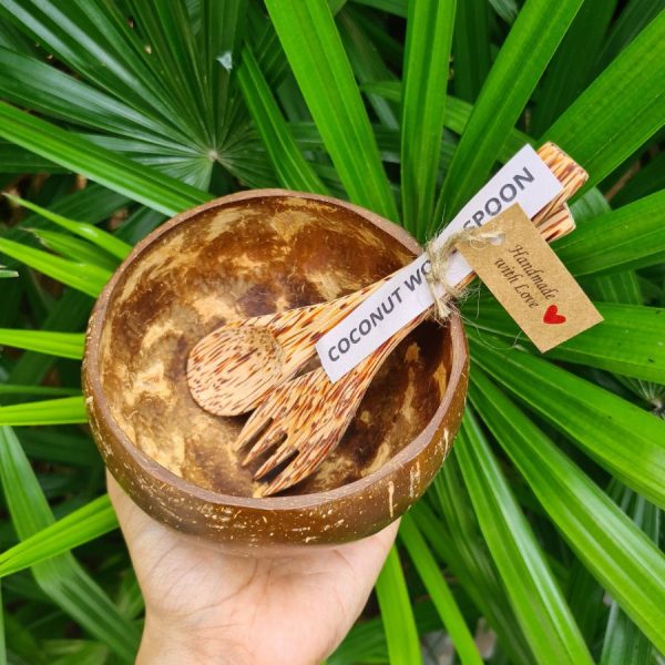 coconut bowl with fork & spoon