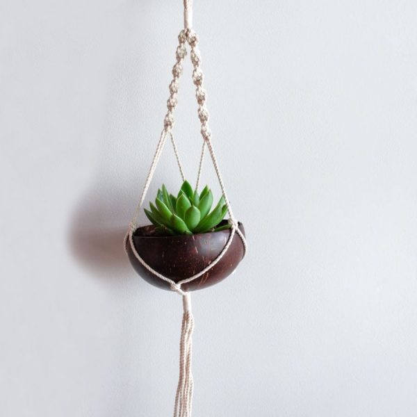 coconut shell hanging planter