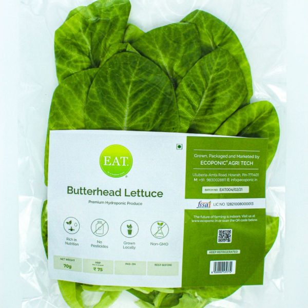 Fresh Organic Butterhead Lettuce