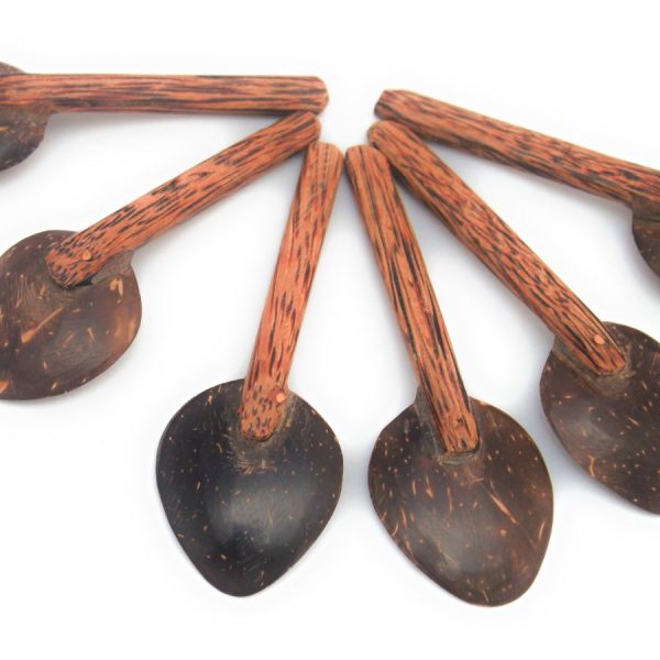 coconut masala spoon