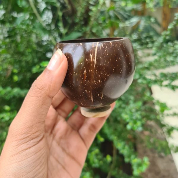 coconut shell shot glass