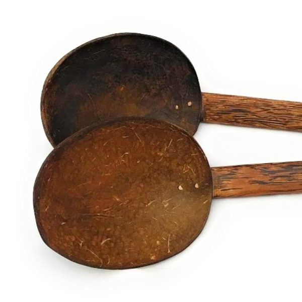 coconut shell serving spoon
