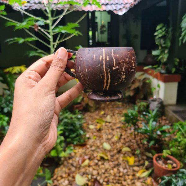 coconut tea cup