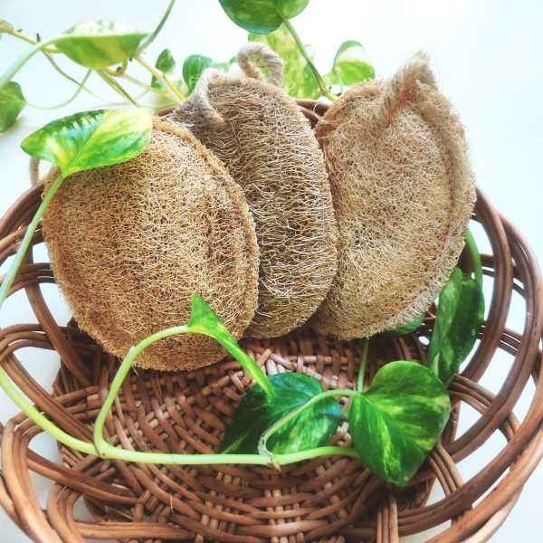 Plant-based natural loofah set of 3