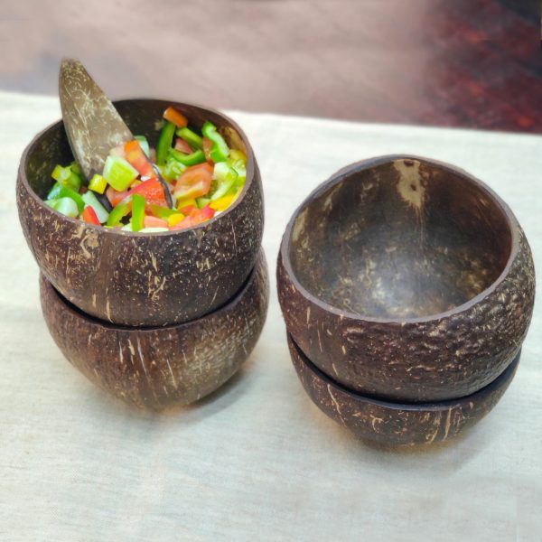 Coconut bowls set of 4