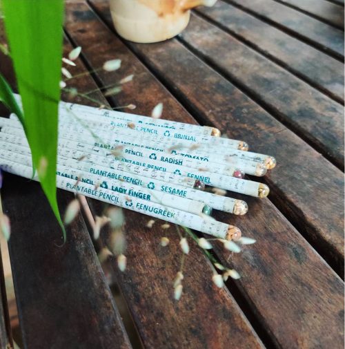 eco-friendly plantable colour pencil with seeds at end