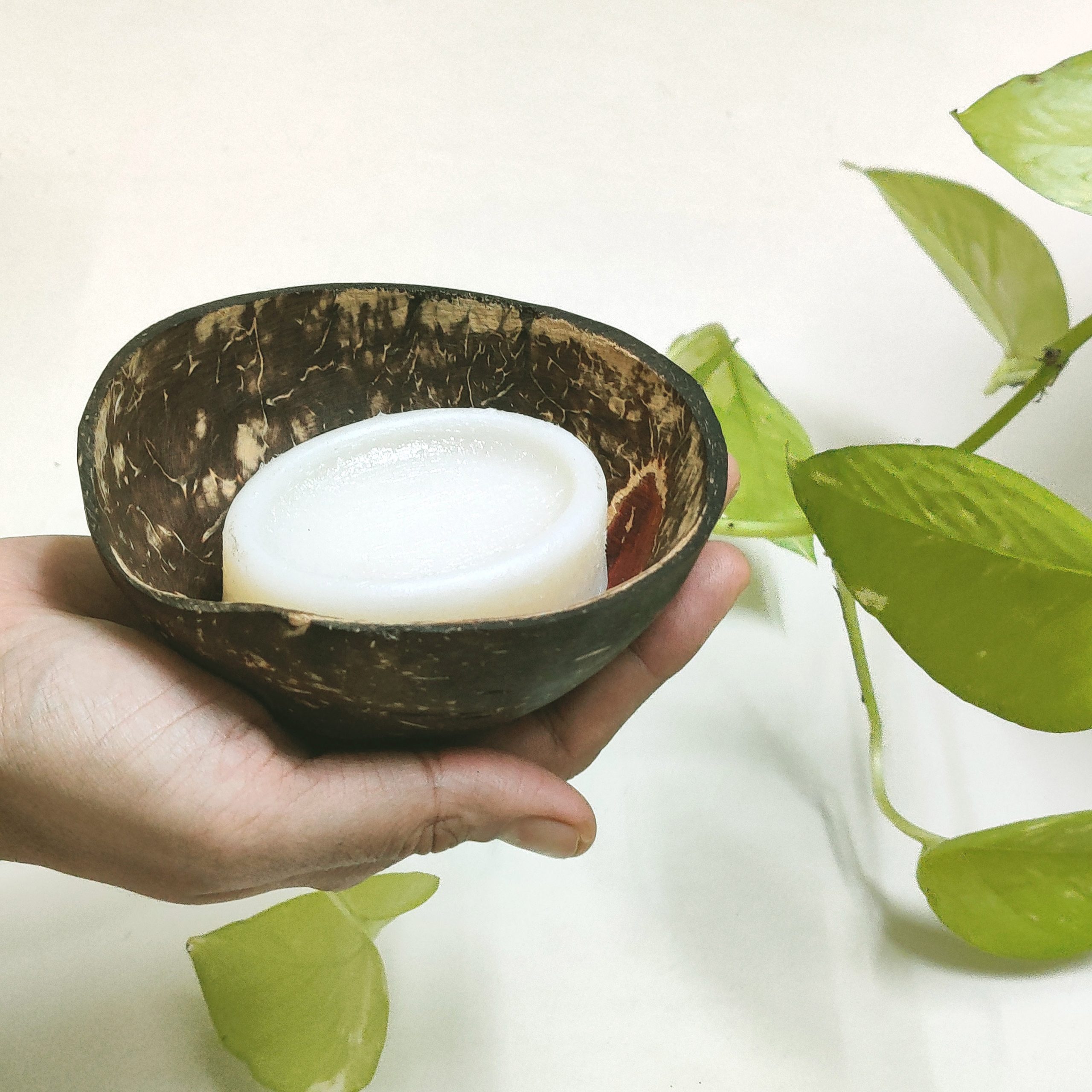 handmade natural coconut shell soap dish