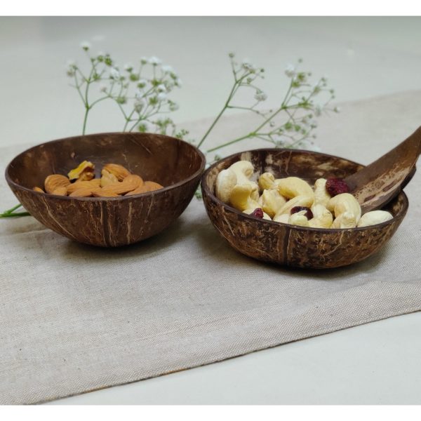 sustainable coconut bowl set of 2