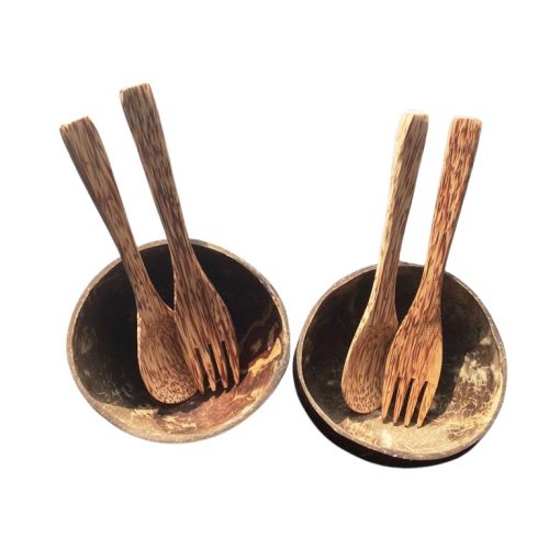 Coconut Shell Big Bowl With 1 Set Fork & Spoon