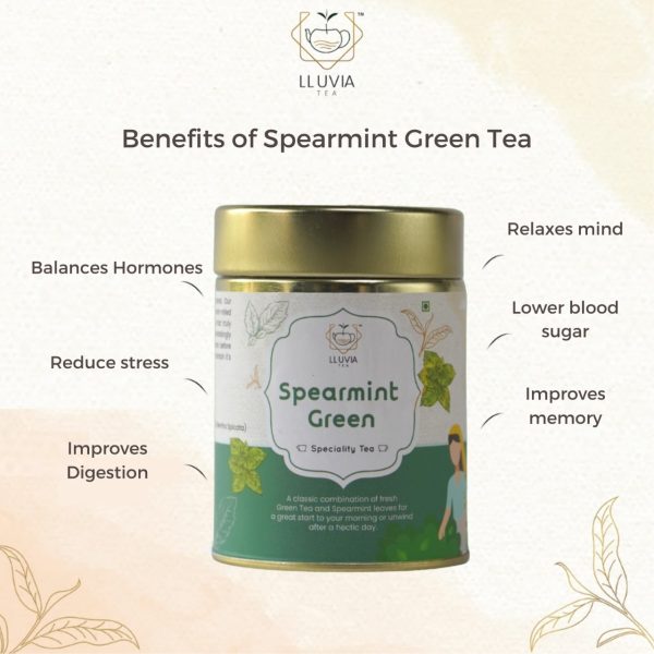 SPEARMINT GREEN TEA 50Gm - Image 3