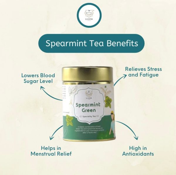 SPEARMINT GREEN TEA 50Gm - Image 2